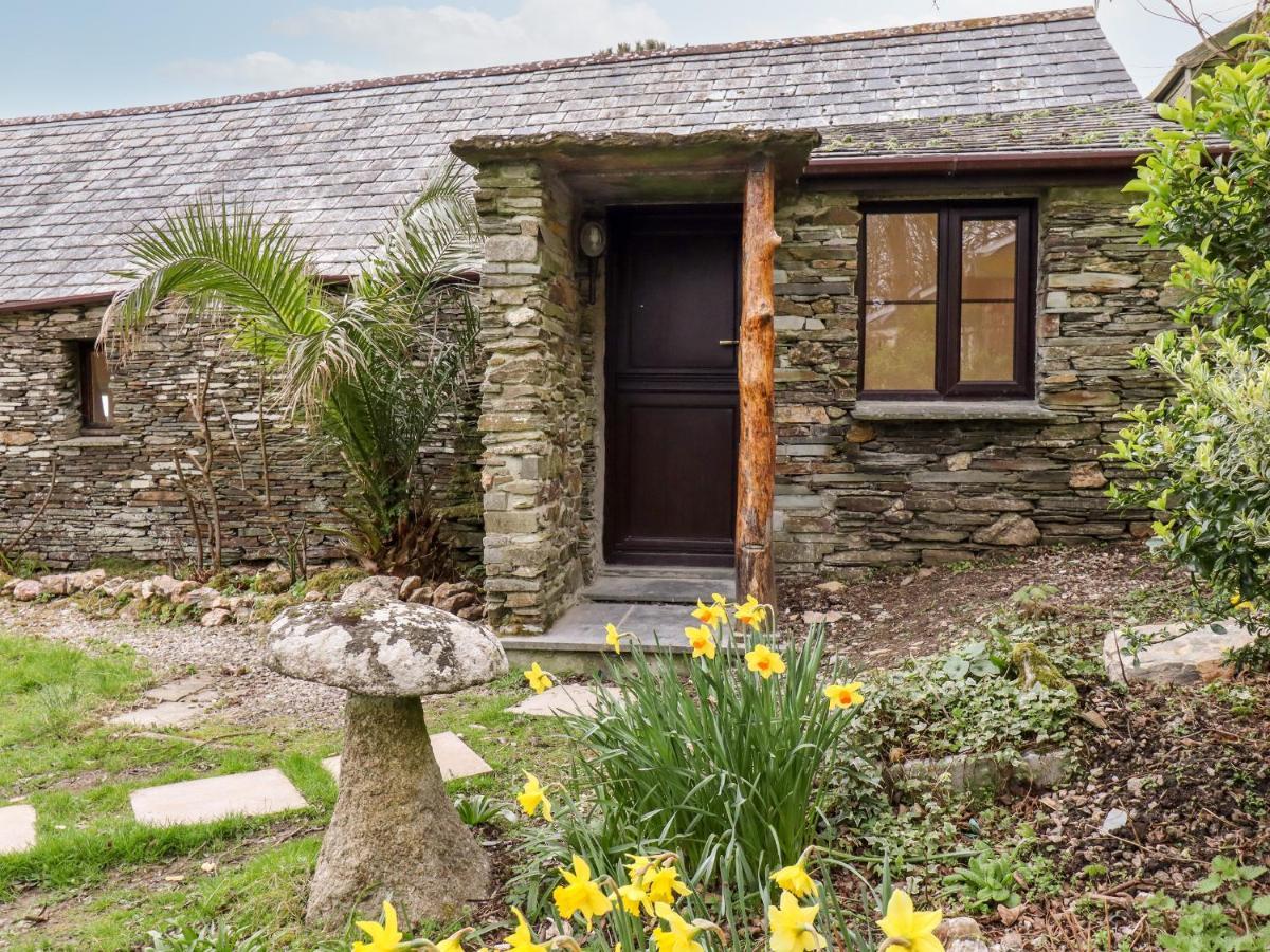 Vila Downrow Barn Tintagel Exteriér fotografie